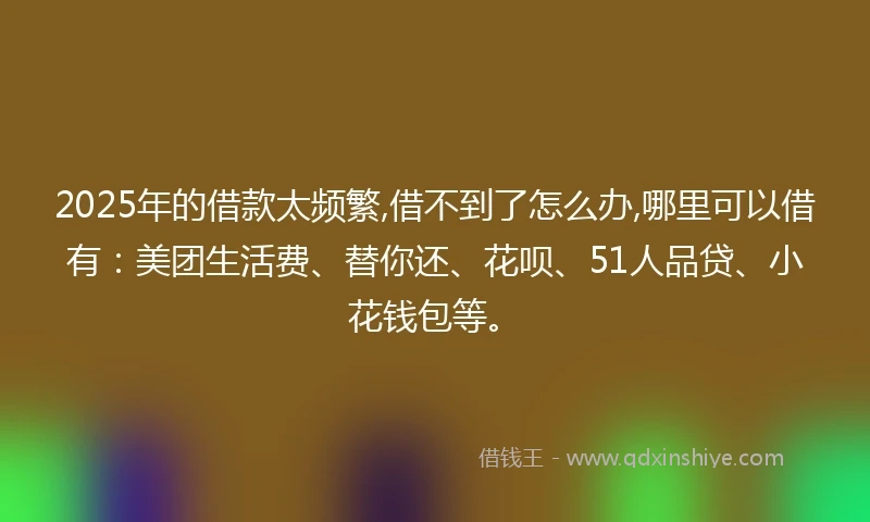 2025年的借款太频繁,借不到了怎么办,哪里可以借有：美团生活费、替你还、花呗、51人品贷、小花钱包等。