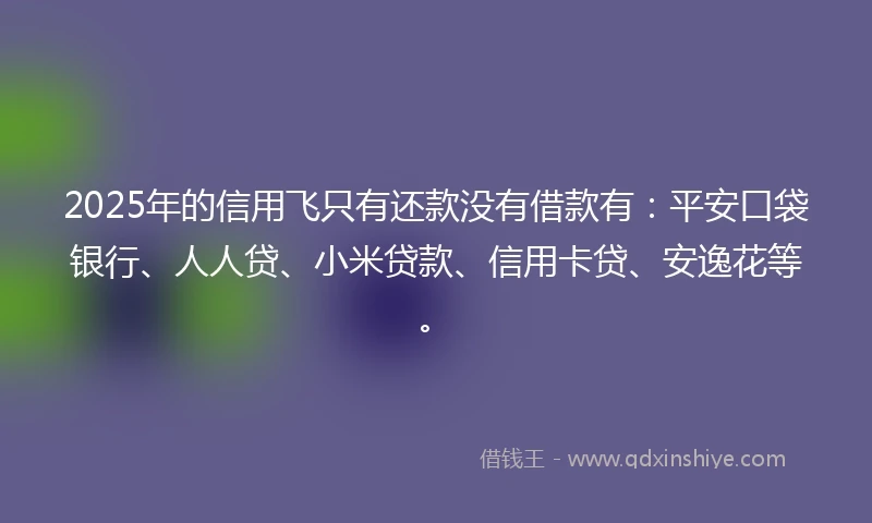 2025年的信用飞只有还款没有借款有：平安口袋银行、人人贷、小米贷款、信用卡贷、安逸花等。