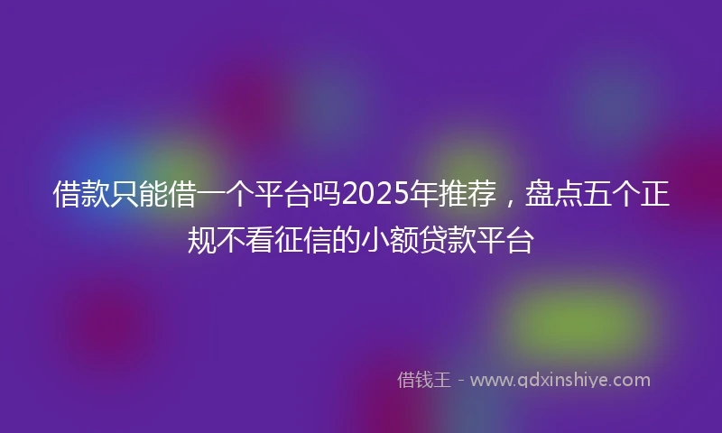 借款只能借一个平台吗2025年推荐，盘点五个正规不看征信的小额贷款平台