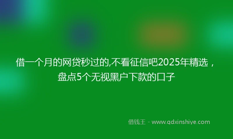借一个月的网贷秒过的,不看征信吧2025年精选，盘点5个无视黑户下款的口子