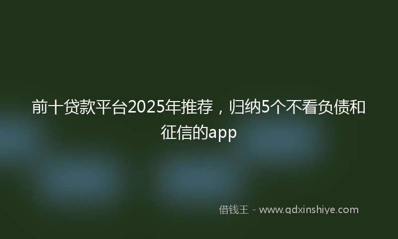 前十贷款平台2025年推荐，归纳5个不看负债和征信的app