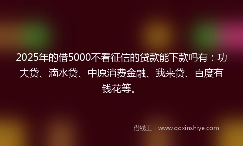 2025年的借5000不看征信的贷款能下款吗有：功夫贷、滴水贷、中原消费金融、我来贷、百度有钱花等。