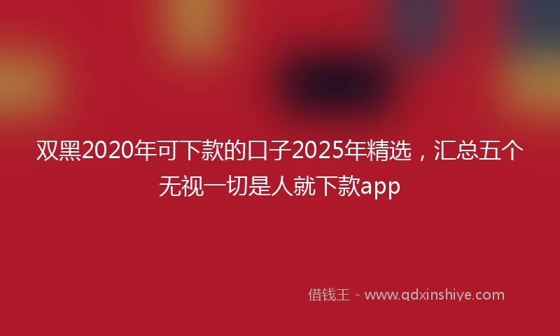 双黑2020年可下款的口子2025年精选，汇总五个无视一切是人就下款app