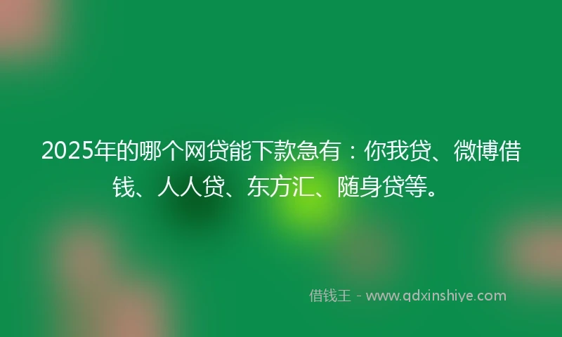 2025年的哪个网贷能下款急有:你我贷、微博借钱、人人贷、东方汇、随身贷等。