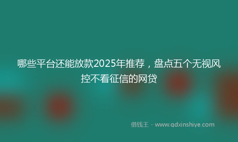 哪些平台还能放款2025年推荐,盘点五个无视风控不看征信的网贷