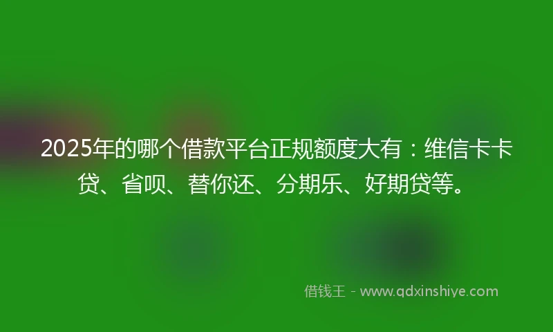 2025年的哪个借款平台正规额度大有：维信卡卡贷、省呗、替你还、分期乐、好期贷等。