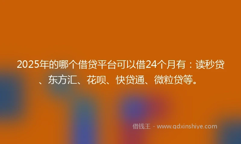 2025年的哪个借贷平台可以借24个月有：读秒贷、东方汇、花呗、快贷通、微粒贷等。