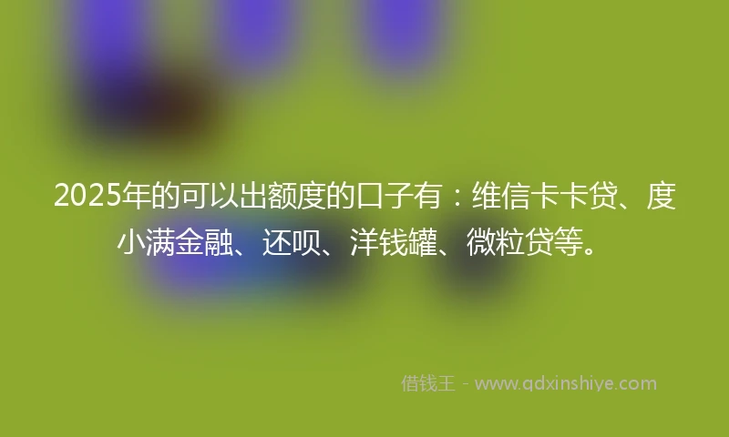 2025年的可以出额度的口子有：维信卡卡贷、度小满金融、还呗、洋钱罐、微粒贷等。