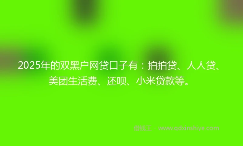 2025年的双黑户网贷口子有：拍拍贷、人人贷、美团生活费、还呗、小米贷款等。