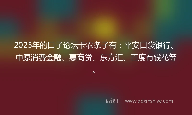 2025年的口子论坛卡农条子有：平安口袋银行、中原消费金融、惠商贷、东方汇、百度有钱花等。