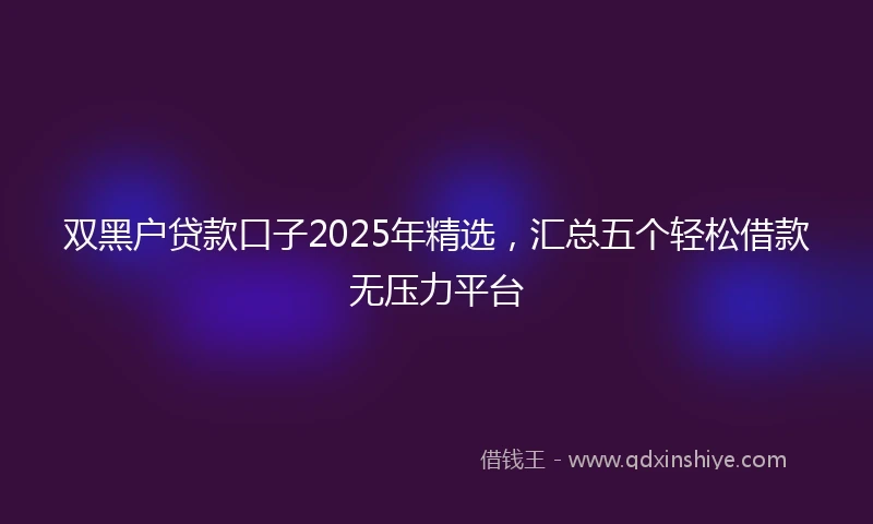 双黑户贷款口子2025年精选，汇总五个轻松借款无压力平台