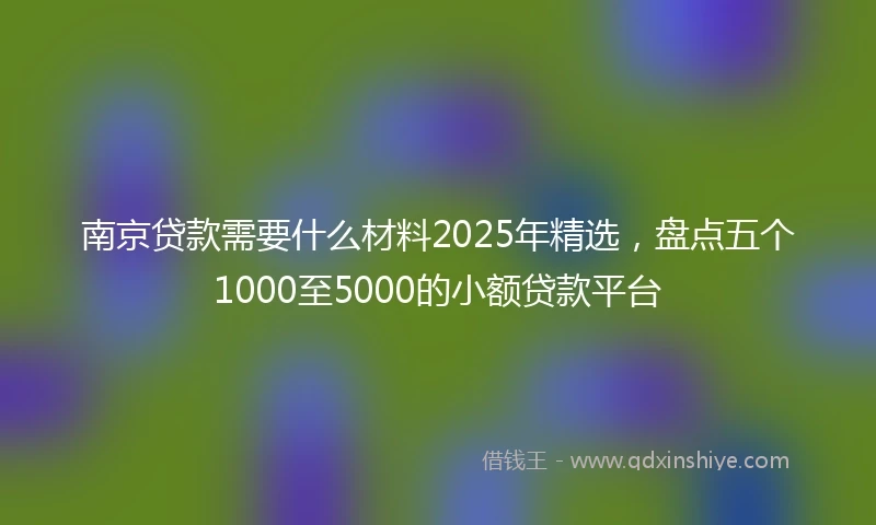 南京贷款需要什么材料2025年精选，盘点五个1000至5000的小额贷款平台