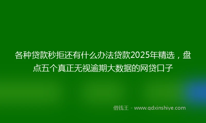 各种贷款秒拒还有什么办法贷款2025年精选，盘点五个真正无视逾期大数据的网贷口子