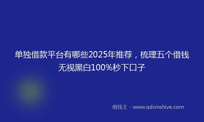 单独借款平台有哪些2025年推荐，梳理五个借钱无视黑白100%秒下口子