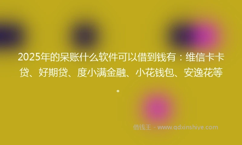 2025年的呆账什么软件可以借到钱有：维信卡卡贷、好期贷、度小满金融、小花钱包、安逸花等。