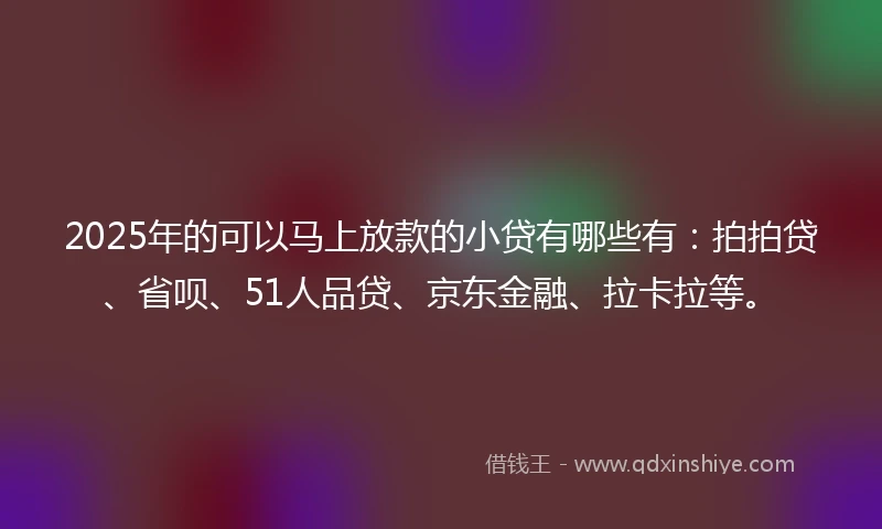 2025年的可以马上放款的小贷有哪些有：拍拍贷、省呗、51人品贷、京东金融、拉卡拉等。
