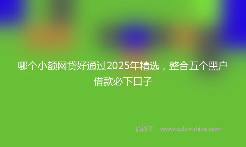 哪个小额网贷好通过2025年精选，整合五个黑户借款必下口子