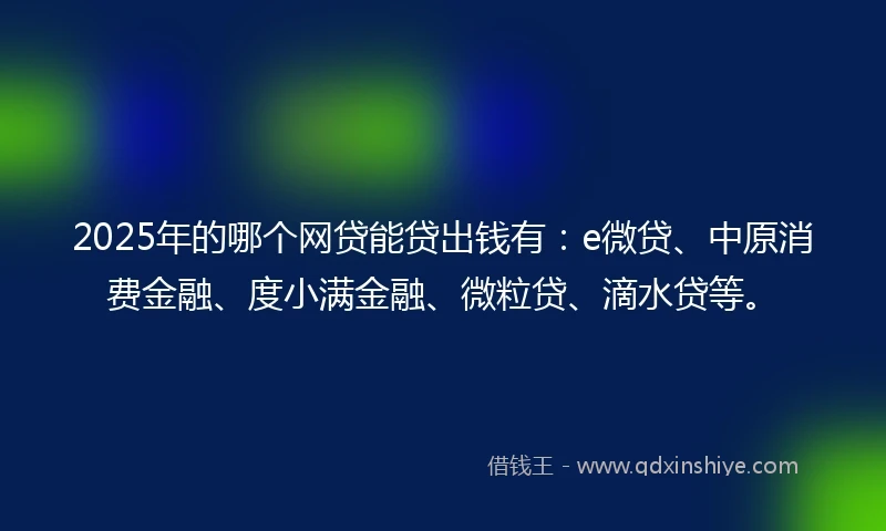 2025年的哪个网贷能贷出钱有：e微贷、中原消费金融、度小满金融、微粒贷、滴水贷等。