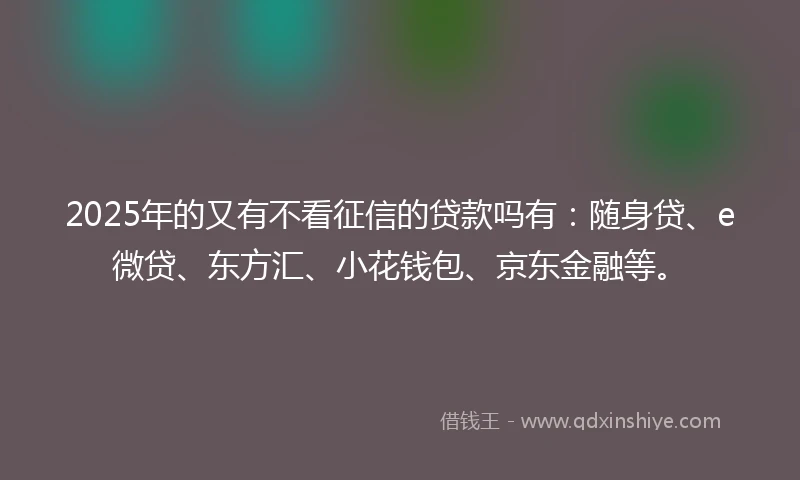 2025年的又有不看征信的贷款吗有：随身贷、e微贷、东方汇、小花钱包、京东金融等。