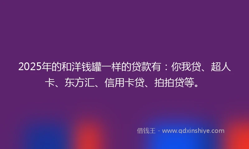 2025年的和洋钱罐一样的贷款有：你我贷、超人卡、东方汇、信用卡贷、拍拍贷等。