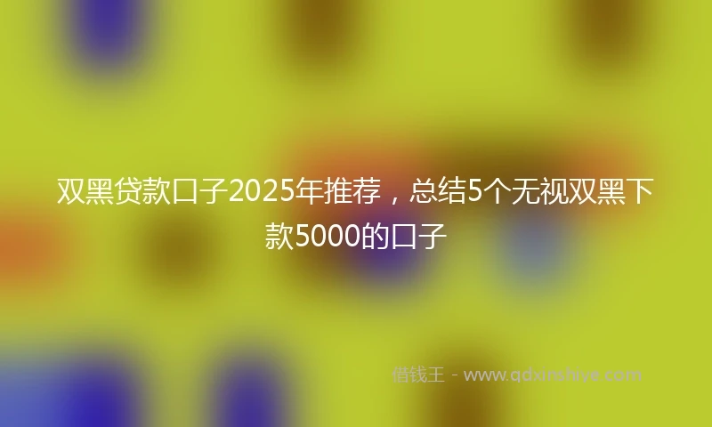 双黑贷款口子2025年推荐,总结5个无视双黑下款5000的口子
