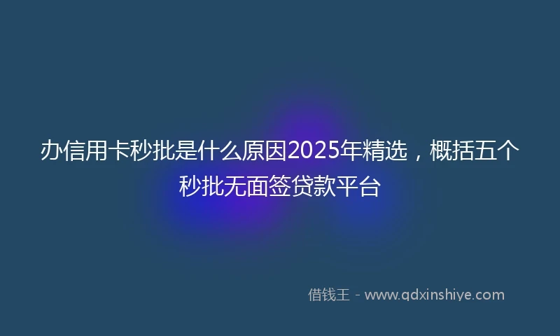办信用卡秒批是什么原因2025年精选，概括五个秒批无面签贷款平台