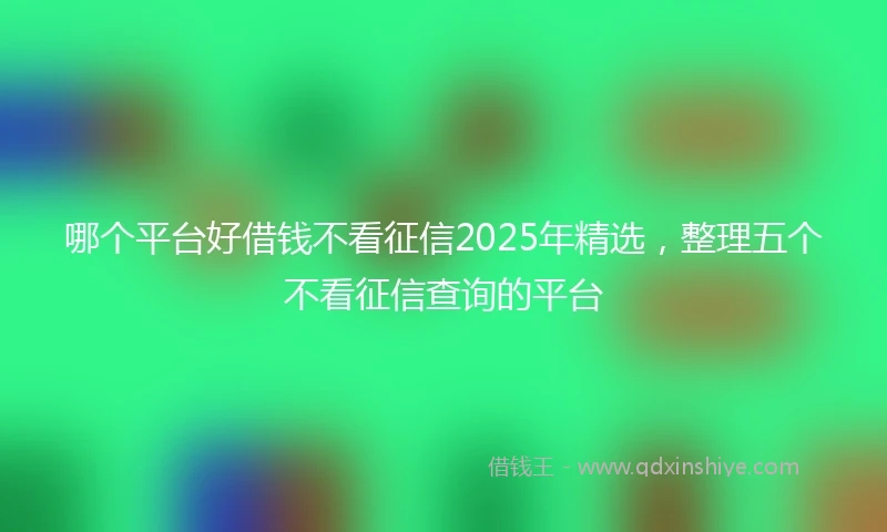哪个平台好借钱不看征信2025年精选，整理五个不看征信查询的平台
