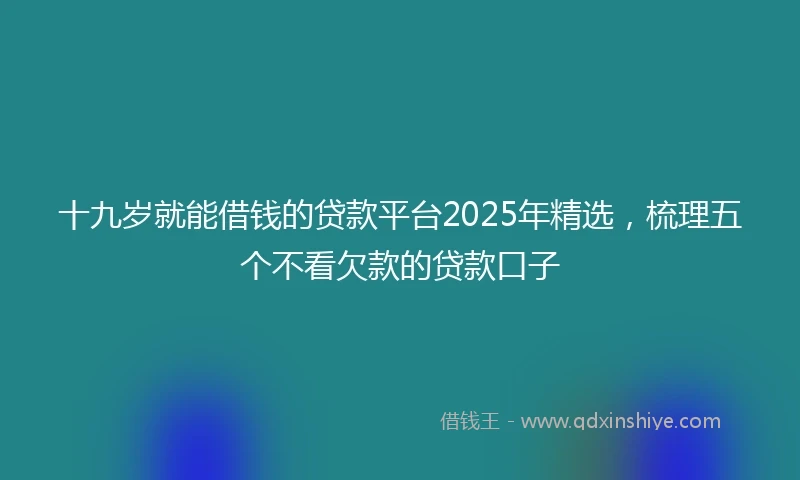 十九岁就能借钱的贷款平台2025年精选，梳理五个不看欠款的贷款口子