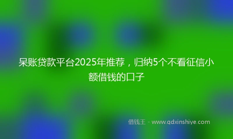 呆账贷款平台2025年推荐，归纳5个不看征信小额借钱的口子