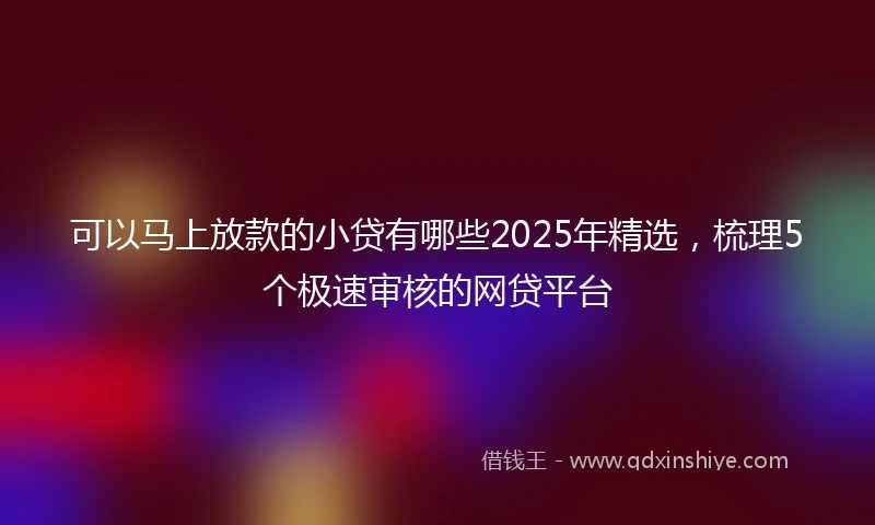 可以马上放款的小贷有哪些2025年精选，梳理5个极速审核的网贷平台