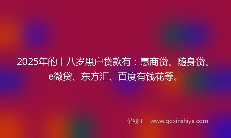 2025年的十八岁黑户贷款有：惠商贷、随身贷、e微贷、东方汇、百度有钱花等。
