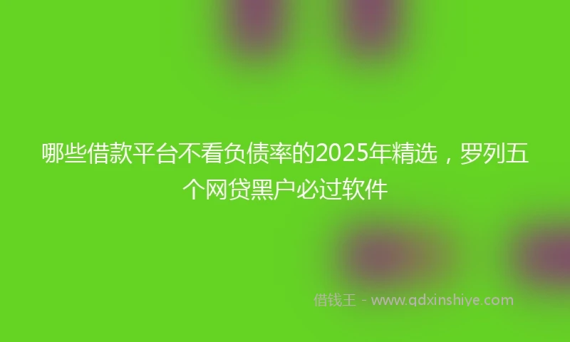 哪些借款平台不看负债率的2025年精选，罗列五个网贷黑户必过软件