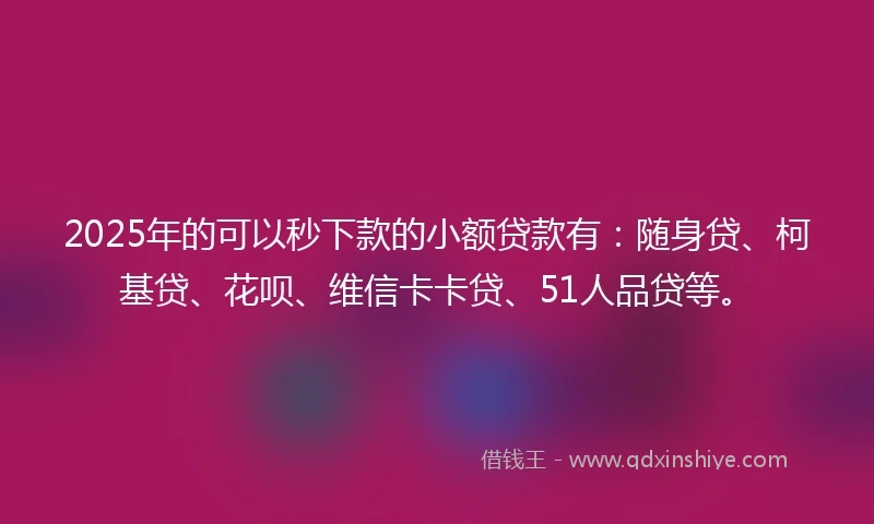 2025年的可以秒下款的小额贷款有：随身贷、柯基贷、花呗、维信卡卡贷、51人品贷等。