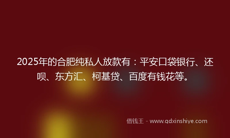 2025年的合肥纯私人放款有:平安口袋银行、还呗、东方汇、柯基贷、百度有钱花等。