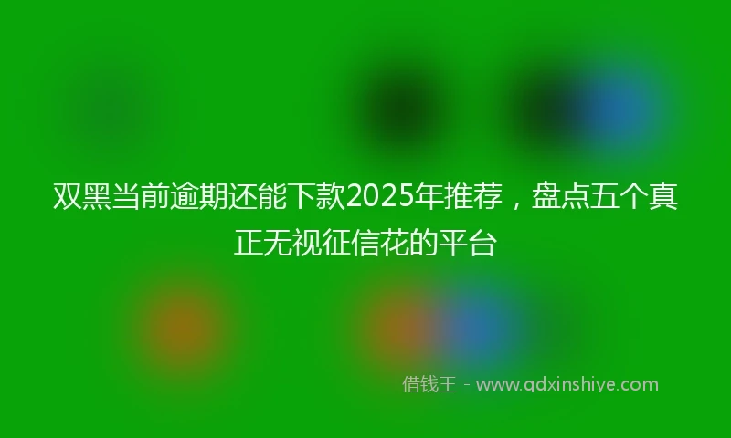 双黑当前逾期还能下款2025年推荐，盘点五个真正无视征信花的平台
