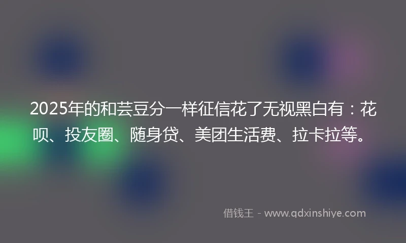 2025年的和芸豆分一样征信花了无视黑白有：花呗、投友圈、随身贷、美团生活费、拉卡拉等。