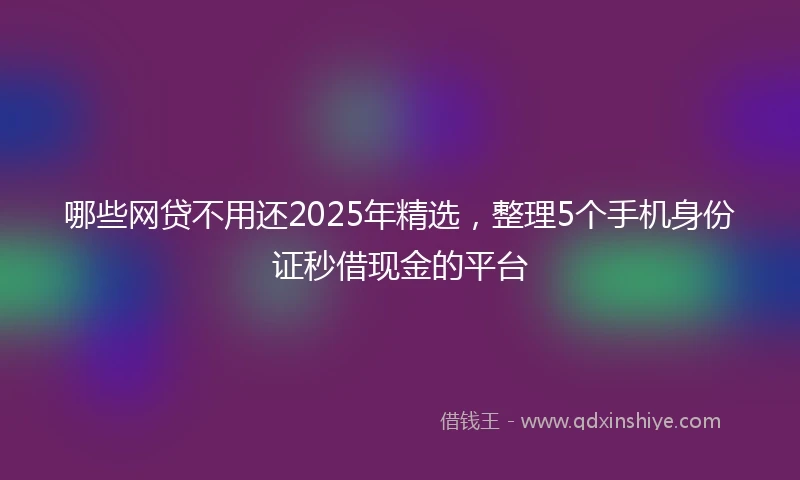 哪些网贷不用还2025年精选，整理5个手机身份证秒借现金的平台