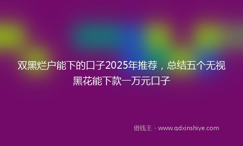 双黑烂户能下的口子2025年推荐，总结五个无视黑花能下款一万元口子