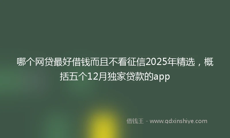 哪个网贷最好借钱而且不看征信2025年精选，概括五个12月独家贷款的app