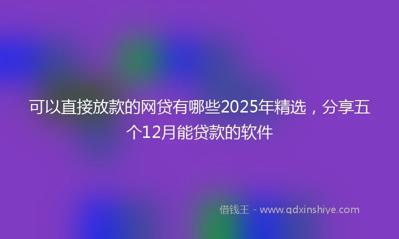 可以直接放款的网贷有哪些2025年精选，分享五个12月能贷款的软件