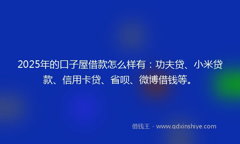 2025年的口子屋借款怎么样有：功夫贷、小米贷款、信用卡贷、省呗、微博借钱等。
