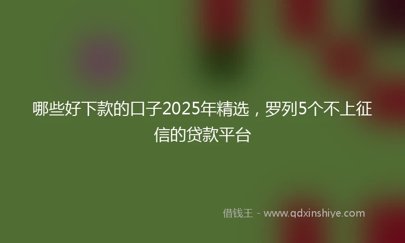 哪些好下款的口子2025年精选，罗列5个不上征信的贷款平台