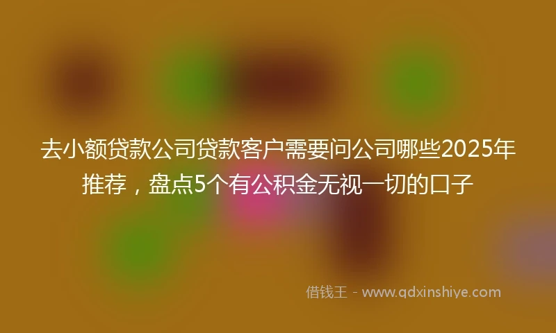 去小额贷款公司贷款客户需要问公司哪些2025年推荐，盘点5个有公积金无视一切的口子