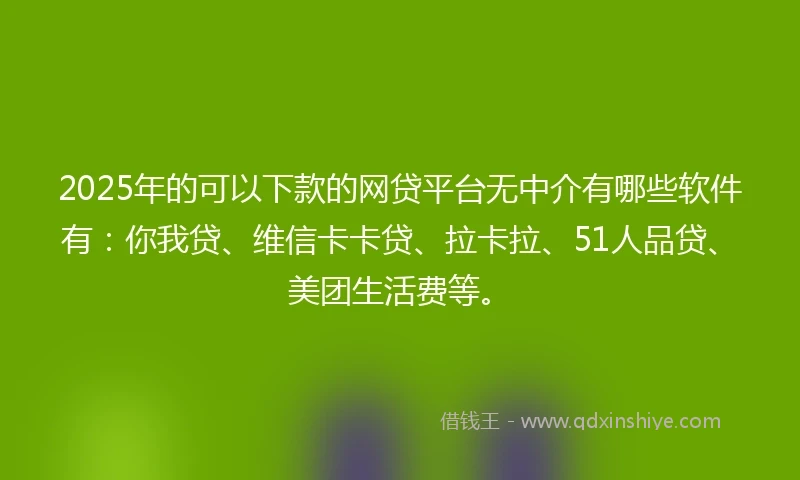 2025年的可以下款的网贷平台无中介有哪些软件有：你我贷、维信卡卡贷、拉卡拉、51人品贷、美团生活费等。