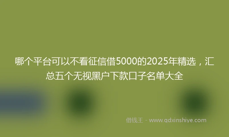 哪个平台可以不看征信借5000的2025年精选，汇总五个无视黑户下款口子名单大全