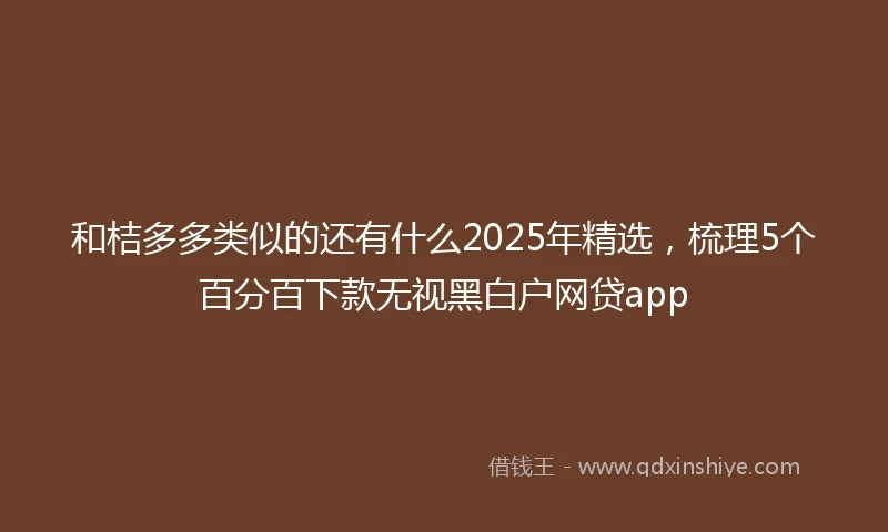 和桔多多类似的还有什么2025年精选，梳理5个百分百下款无视黑白户网贷app