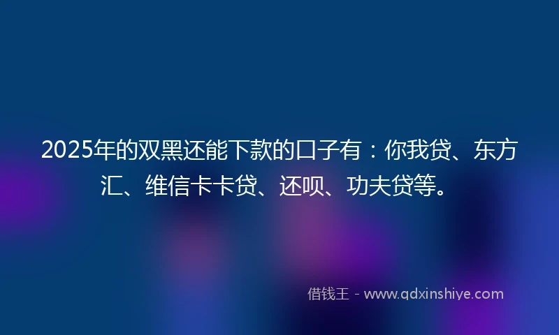 2025年的双黑还能下款的口子有：你我贷、东方汇、维信卡卡贷、还呗、功夫贷等。