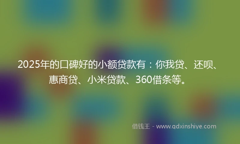 2025年的口碑好的小额贷款有：你我贷、还呗、惠商贷、小米贷款、360借条等。