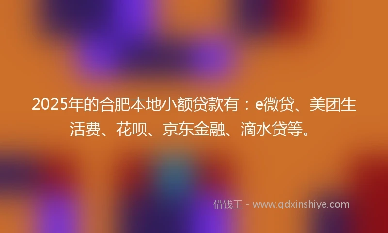 2025年的合肥本地小额贷款有：e微贷、美团生活费、花呗、京东金融、滴水贷等。