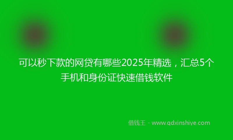 可以秒下款的网贷有哪些2025年精选，汇总5个手机和身份证快速借钱软件